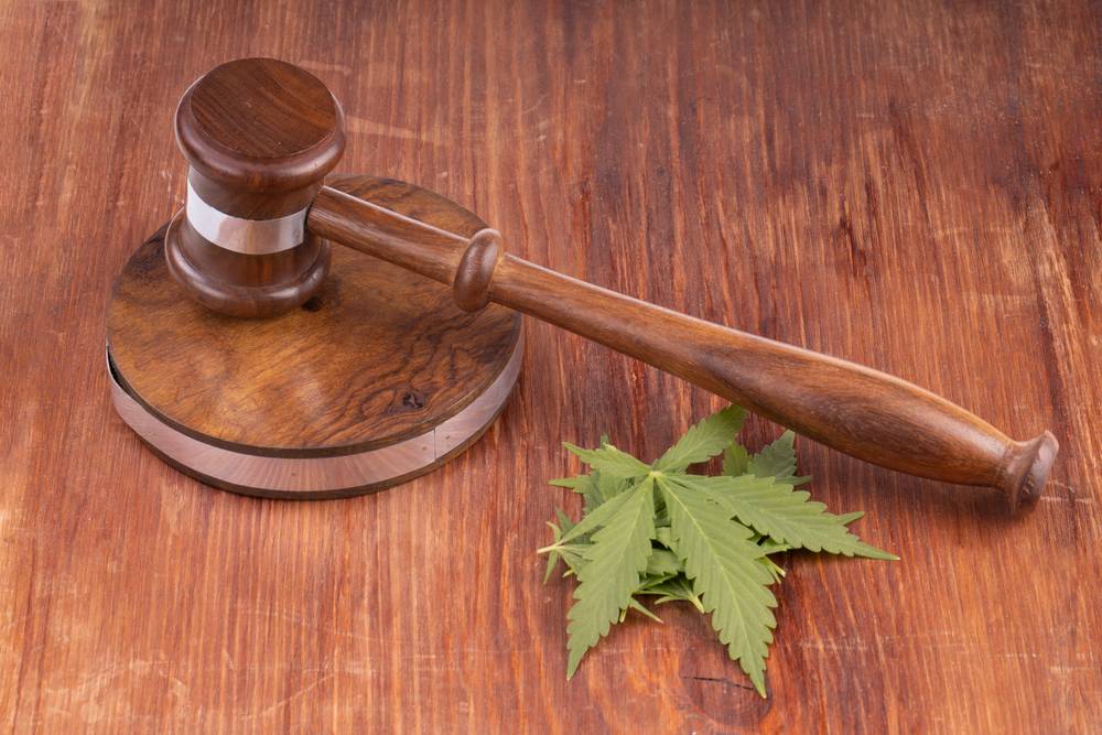 Cannabis Law Practice Area