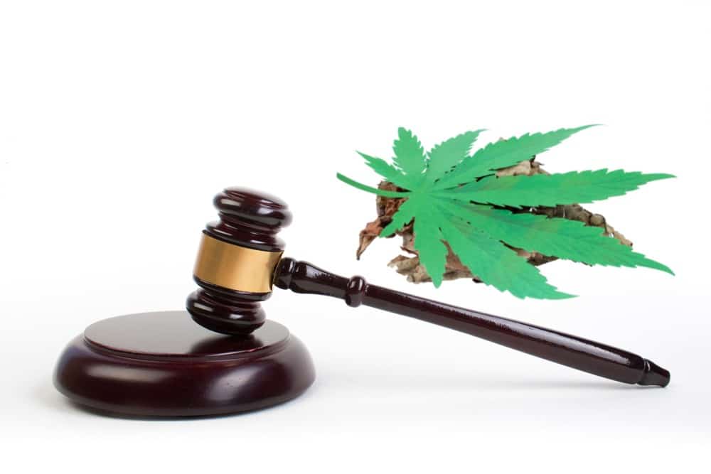 Navigating Cannabis Regulations and Compliance: A Legal Perspective
