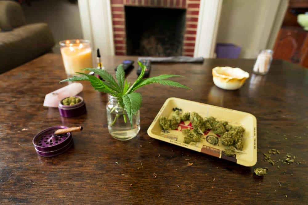 Cannabis and Employment Law: Understanding the Legal Issues for Employers and Employees